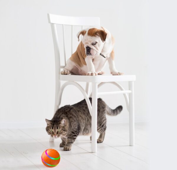 Pet New Cat Wicked Ball Toy Intelligent Ball USB Cat Toys Self Rotating Ball Automatic Rotation Ball - Image 5